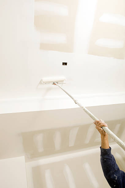 Best Water Damage & Mold Remediation  in Columbia Heights, MN