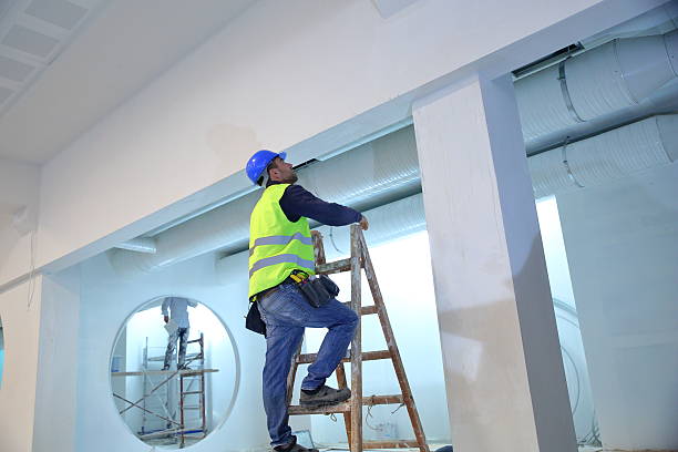 Best Mold Documentation for Insurance Claims  in Columbia Heights, MN